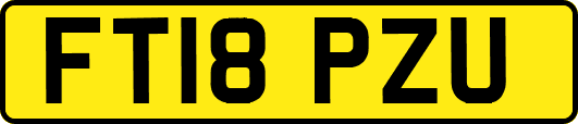 FT18PZU