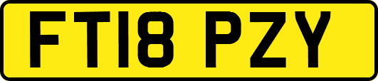 FT18PZY