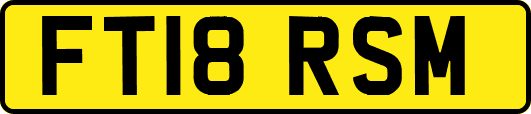 FT18RSM