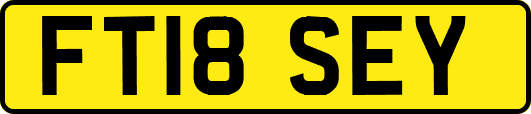 FT18SEY