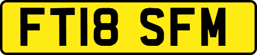 FT18SFM