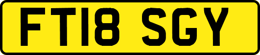 FT18SGY
