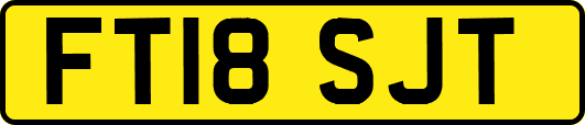 FT18SJT