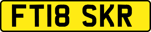 FT18SKR