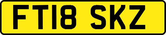 FT18SKZ