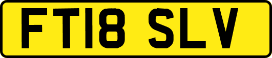 FT18SLV
