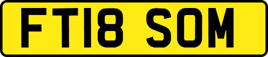 FT18SOM