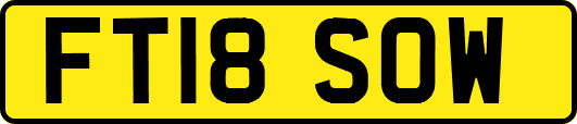 FT18SOW