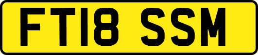FT18SSM