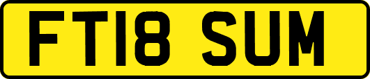 FT18SUM