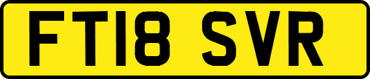FT18SVR