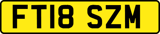 FT18SZM
