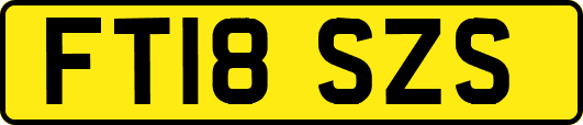FT18SZS