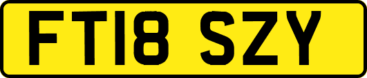 FT18SZY