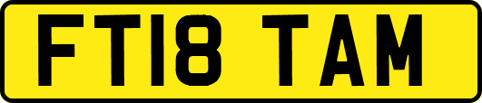 FT18TAM