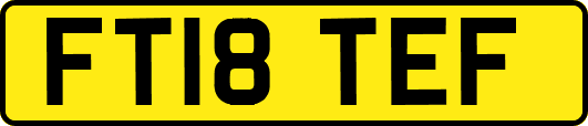FT18TEF