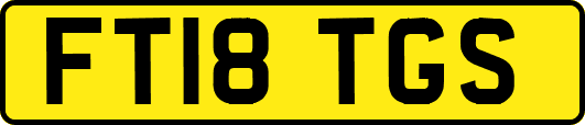 FT18TGS