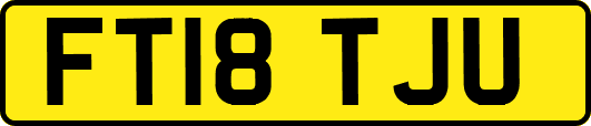 FT18TJU