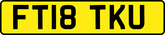 FT18TKU