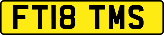 FT18TMS