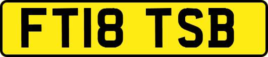 FT18TSB