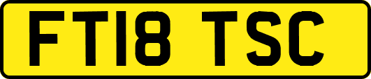 FT18TSC