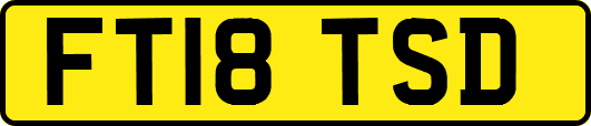 FT18TSD
