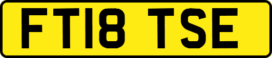 FT18TSE