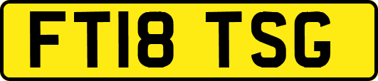 FT18TSG