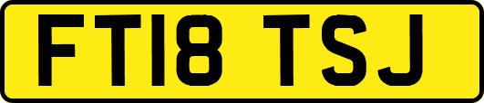 FT18TSJ
