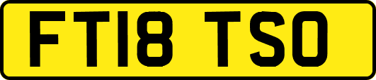 FT18TSO