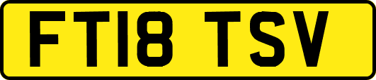 FT18TSV