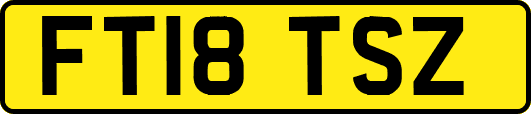 FT18TSZ