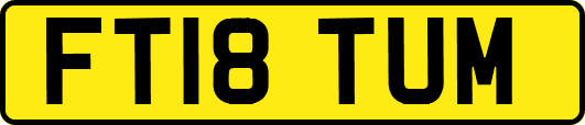 FT18TUM