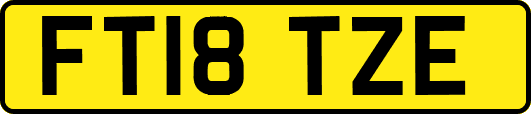 FT18TZE