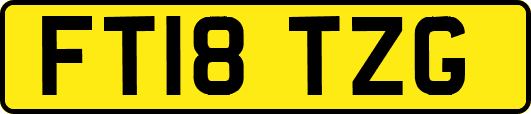 FT18TZG
