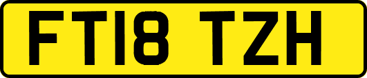 FT18TZH