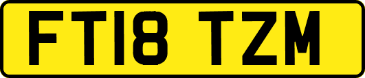 FT18TZM