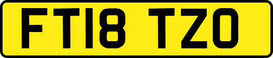 FT18TZO