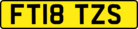 FT18TZS