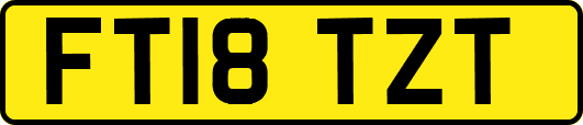 FT18TZT