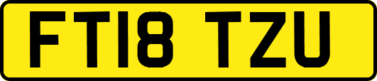 FT18TZU