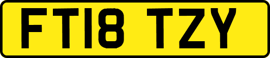 FT18TZY