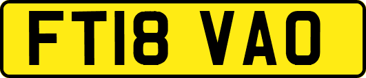 FT18VAO