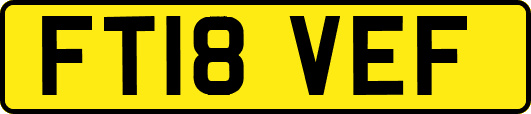 FT18VEF