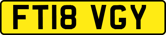 FT18VGY