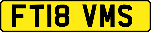 FT18VMS