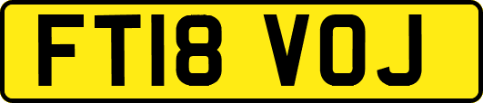 FT18VOJ
