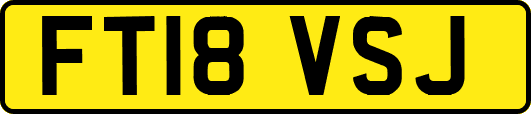 FT18VSJ