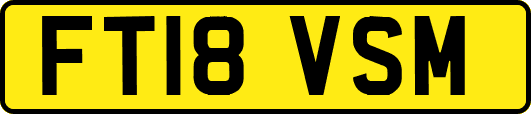 FT18VSM